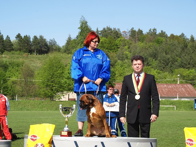 www.atibox.net * www.euroboxer.eu * www.boxergenealogia.eu